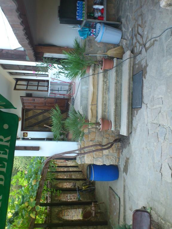 Villa Nasco Nisipurile de Aur Exterior foto