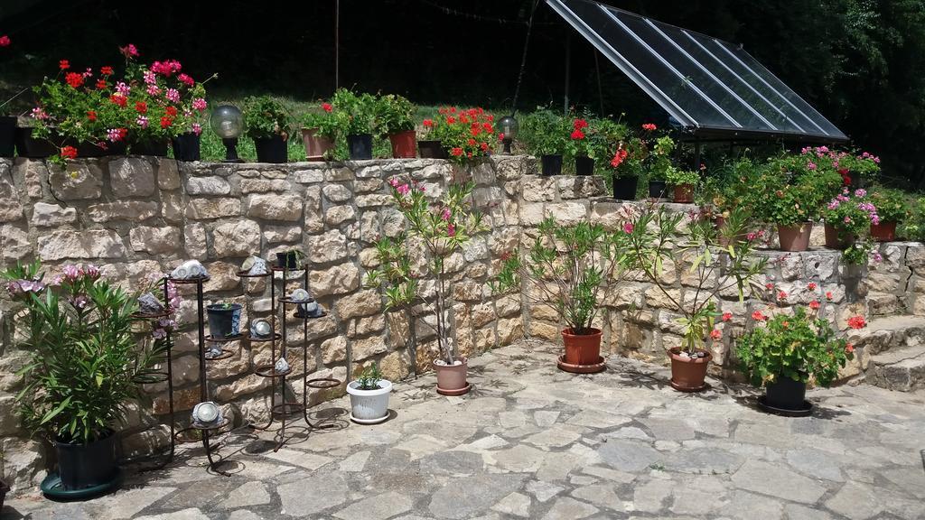 Villa Nasco Nisipurile de Aur Exterior foto
